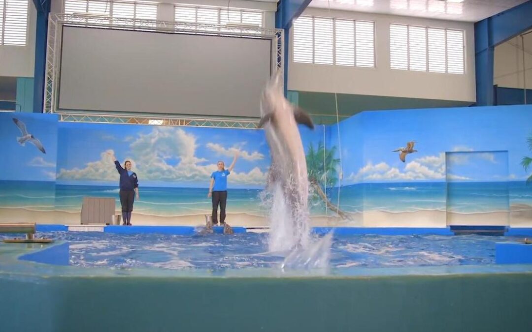 Institute for Marine Mammal Studies and Ocean Adventures