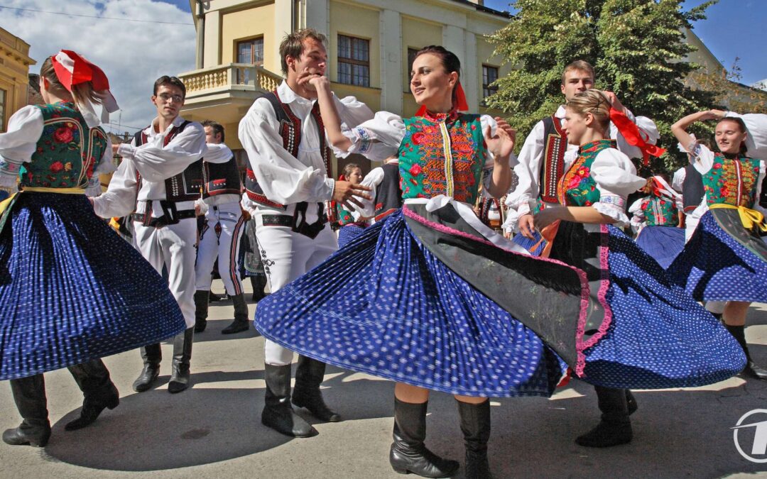 What to Expect on a Guided Tour: A Behind-the-Scenes Look at How Everything Comes Together