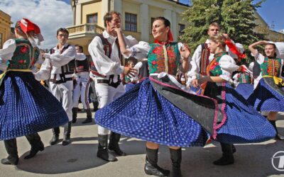 What to Expect on a Guided Tour: A Behind-the-Scenes Look at How Everything Comes Together