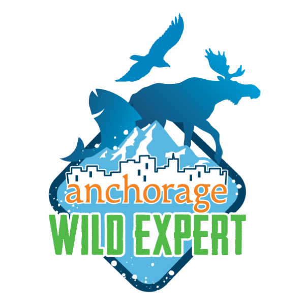 Anchorage Alaska Wild Expert Certification Logo (1)