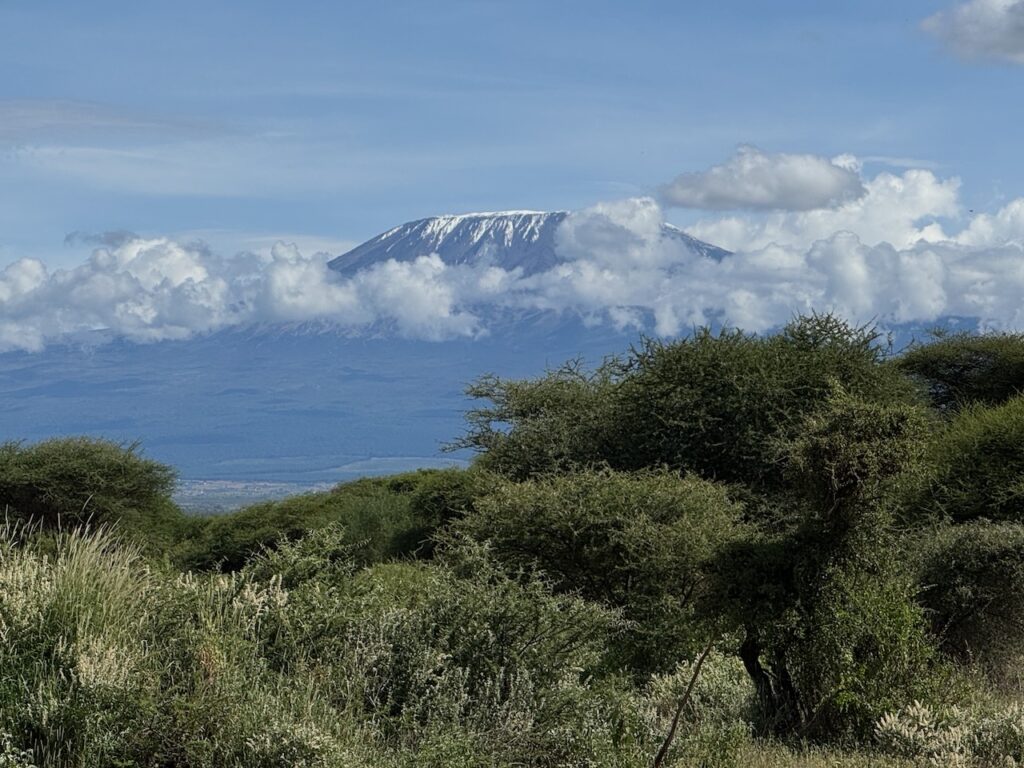 Peak of Mt. Kilimanjaro