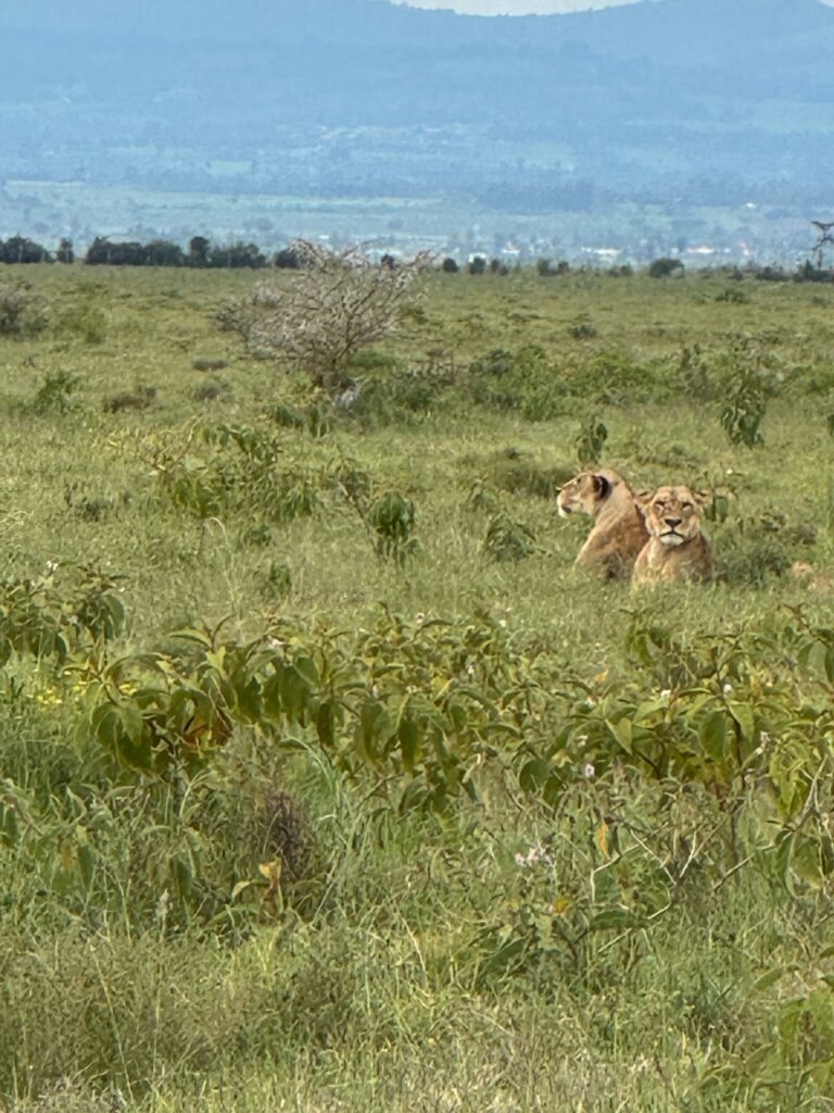 Lake Nakuru National Park