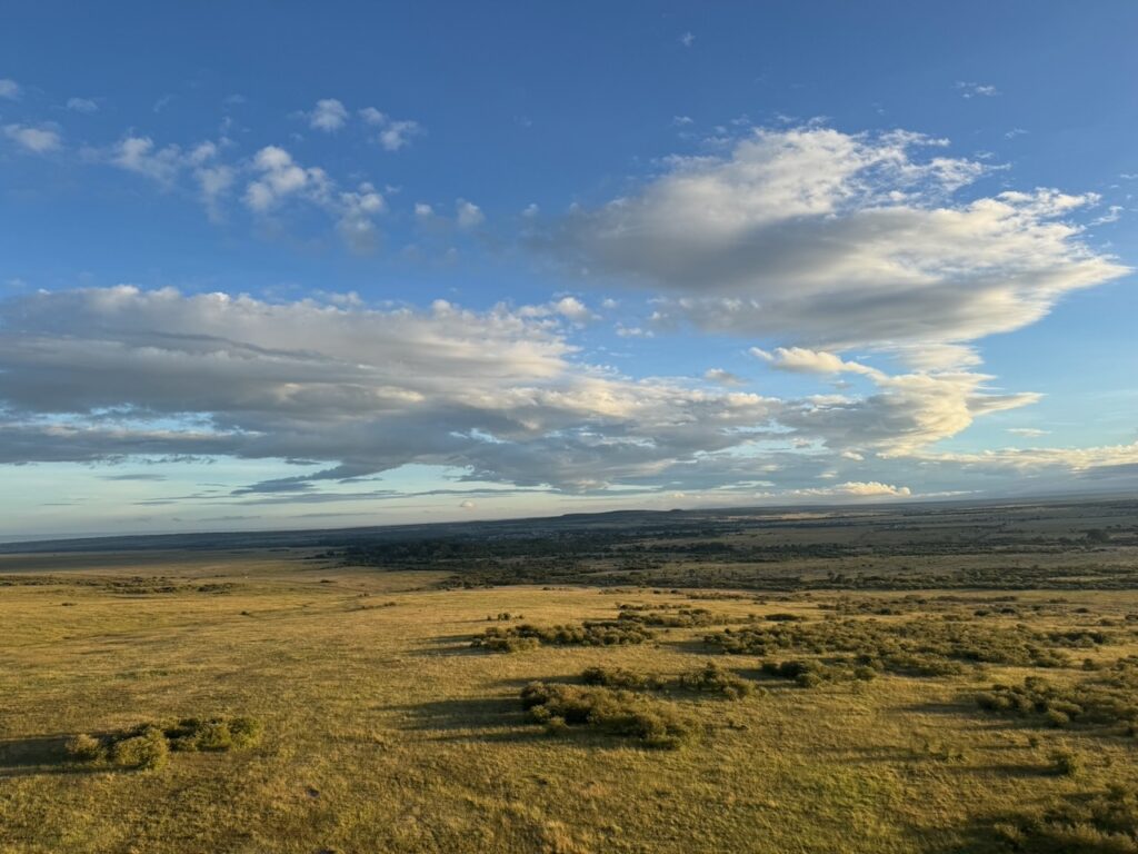Masai Mara from hot air balloon