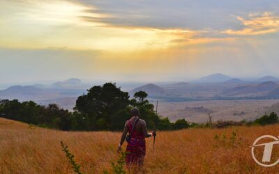First Time Kenya Safari Tips for a Great Experience