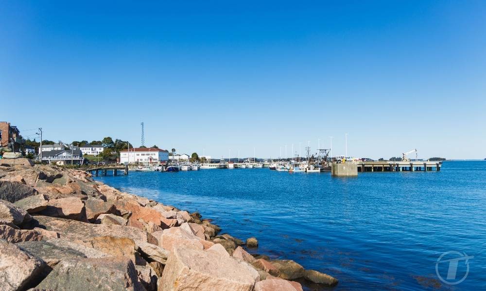 A harbor in Eastport, Maine during the daytime